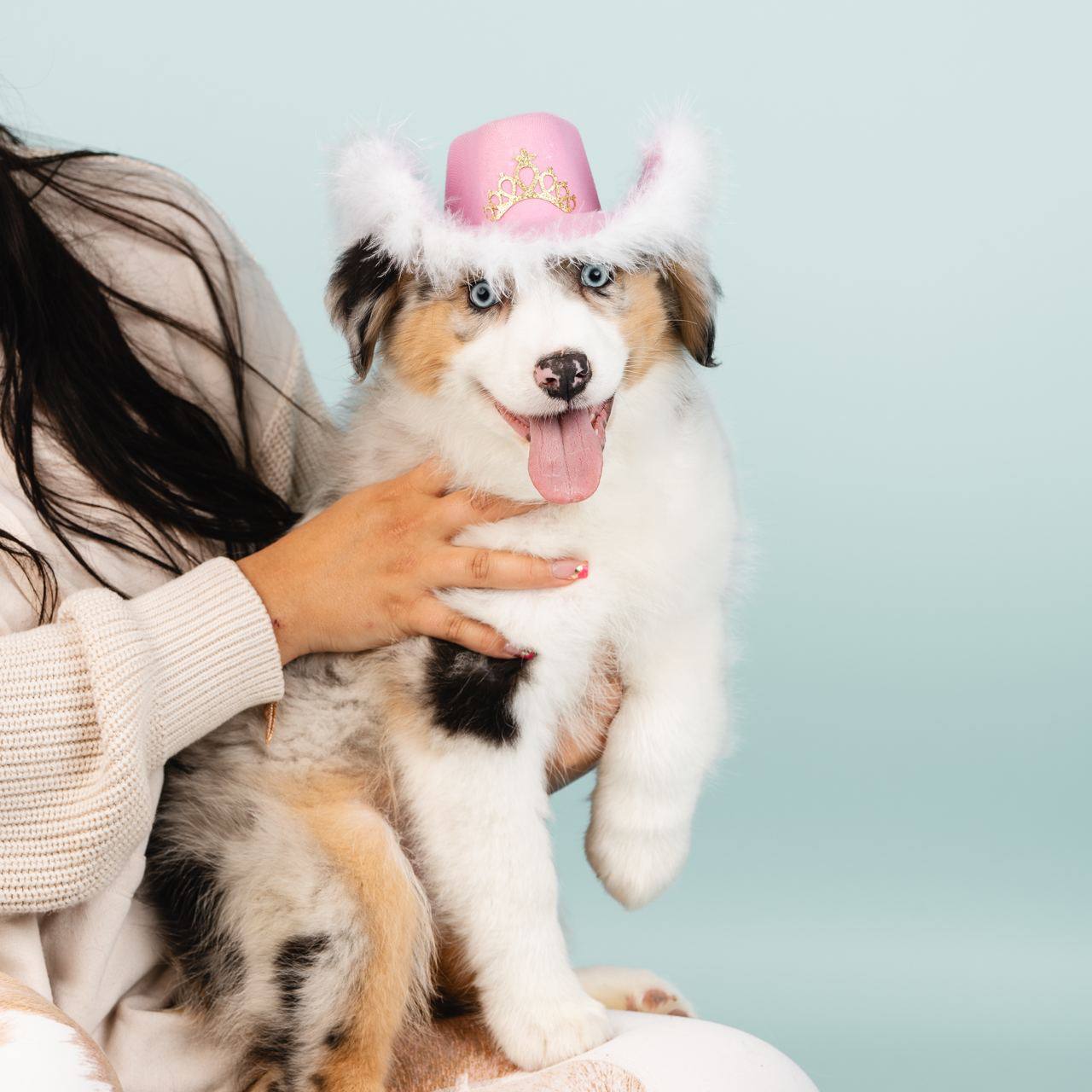 A blue-eyed merle puppy wearing a pink cowboy hat, held in a person's arms