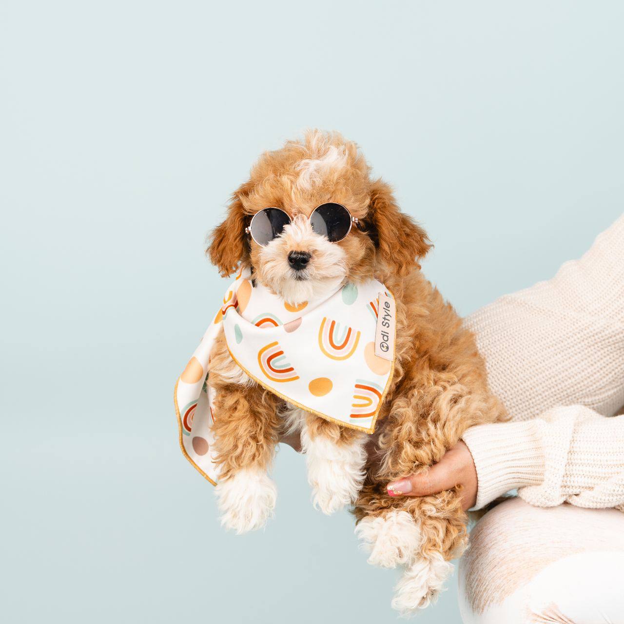 An apricot doodle puppy in round sunglasses and a rainbow-print bandana, held in a person's arms