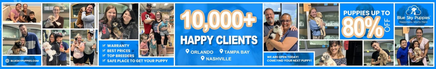 Home page banner