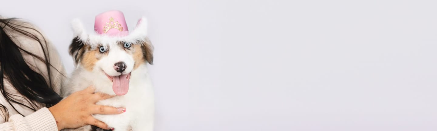 Home page banner