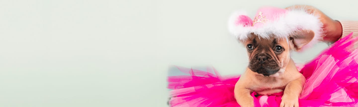 Home page banner