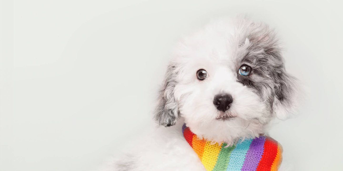 Home page banner