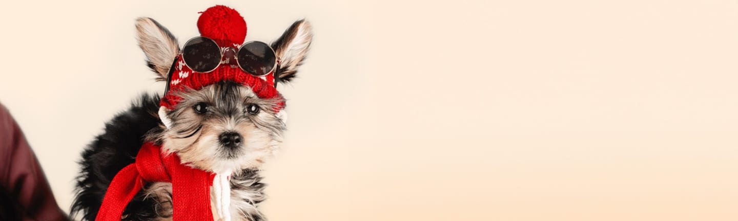 Home page banner