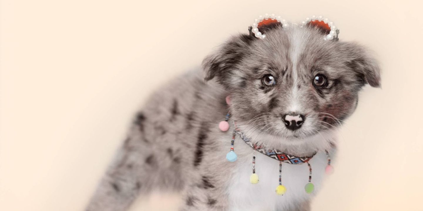 Home page banner