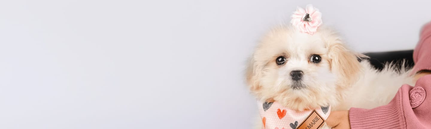 Home page banner