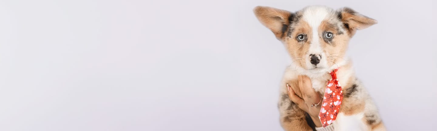 Home page banner