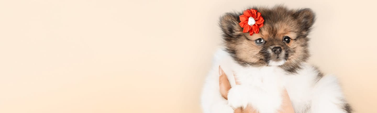 Home page banner