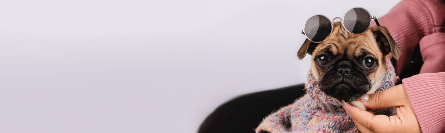Home page banner