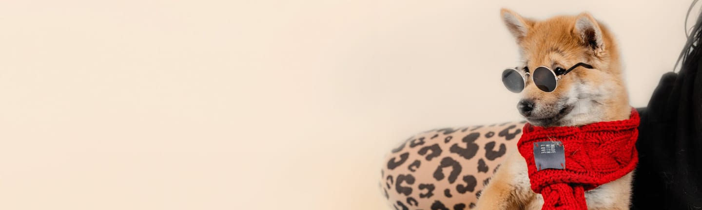 Home page banner