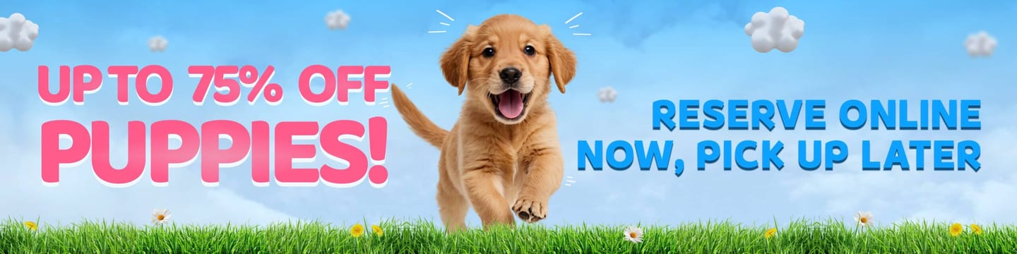 Home page banner