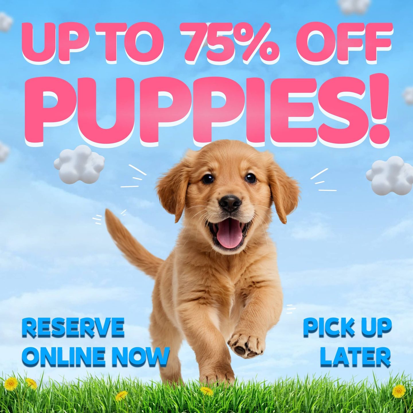 Home page banner